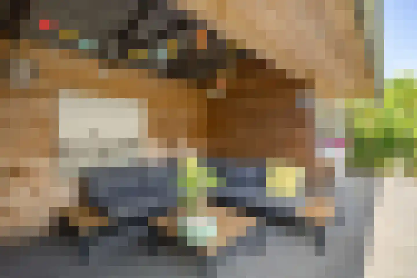 Koetsebeiwâl 1 B Ureterp thumbnail 37