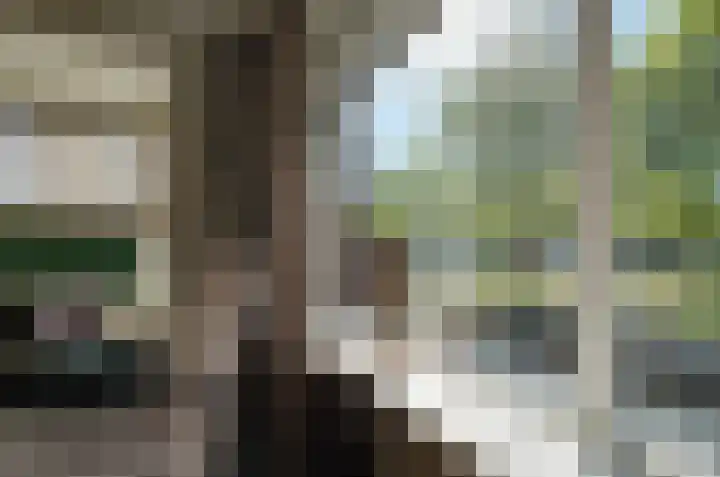 Koetsekralen 22 Harkema thumbnail 18