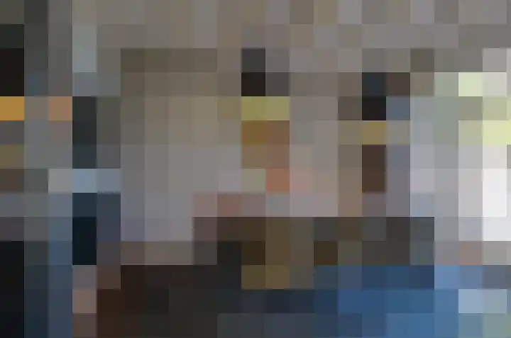 Koetsekralen 22 Harkema thumbnail 19