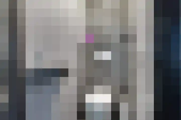 Koetsekralen 22 Harkema thumbnail 31