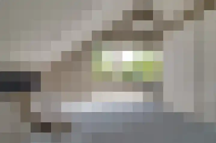 Koetsekralen 22 Harkema thumbnail 40
