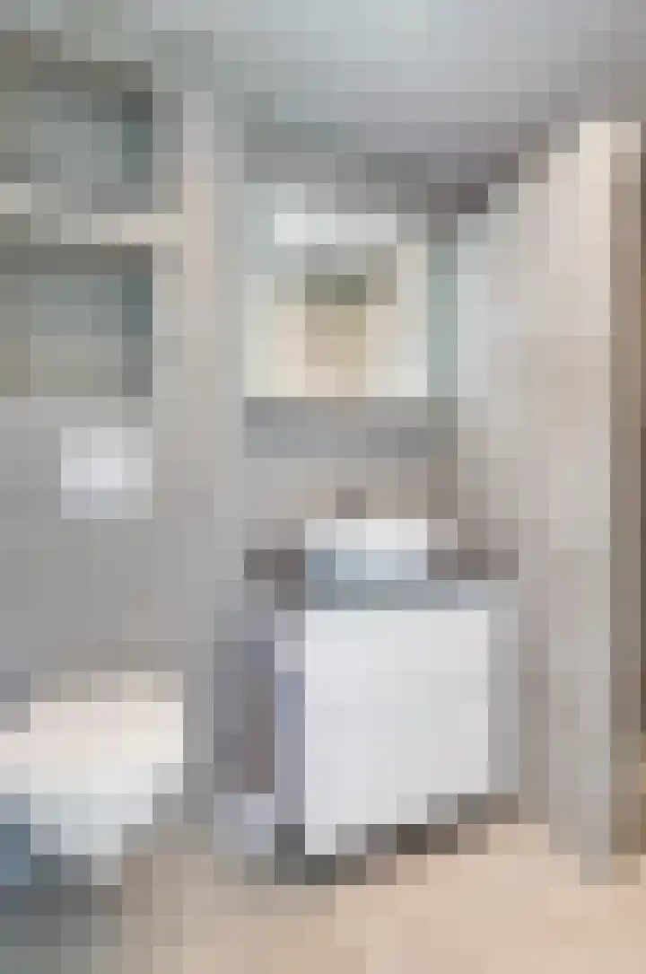Koetsekralen 22 Harkema thumbnail 42