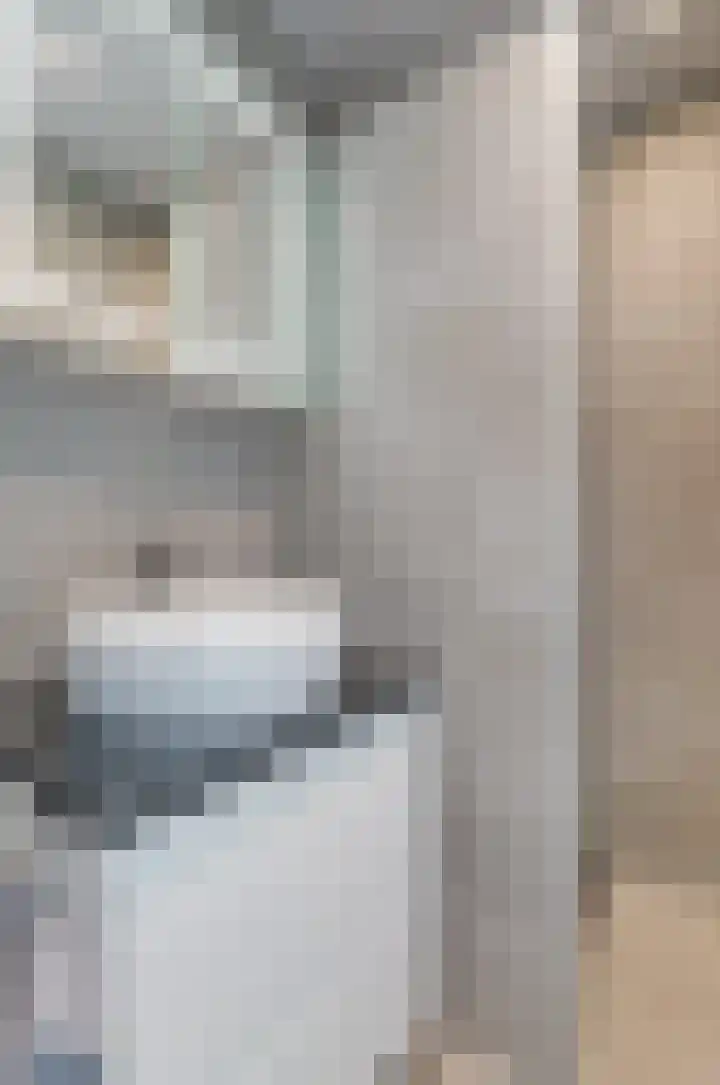 Koetsekralen 22 Harkema thumbnail 43