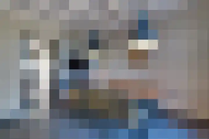 Koetsekralen 22 Harkema thumbnail 5