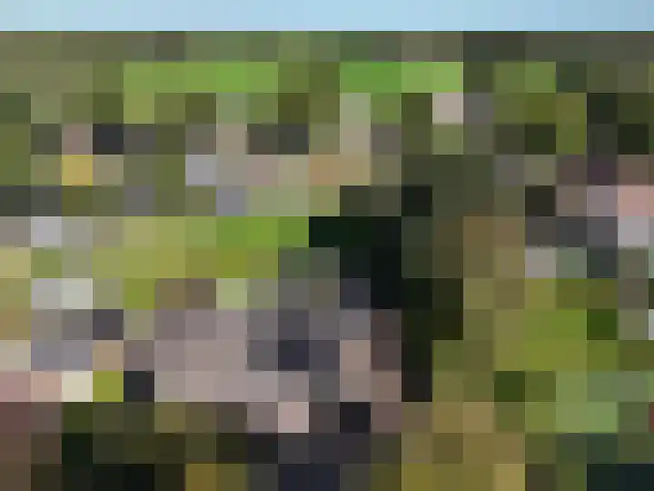 Koetsekralen 22 Harkema thumbnail 54