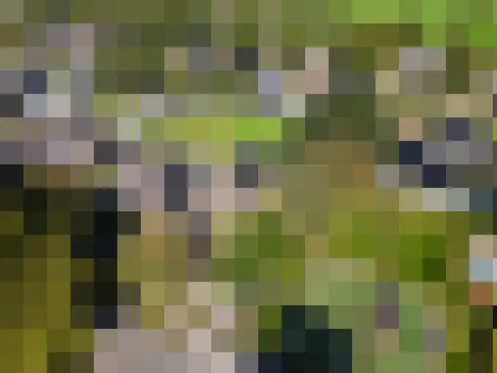 Koetsekralen 22 Harkema thumbnail 56