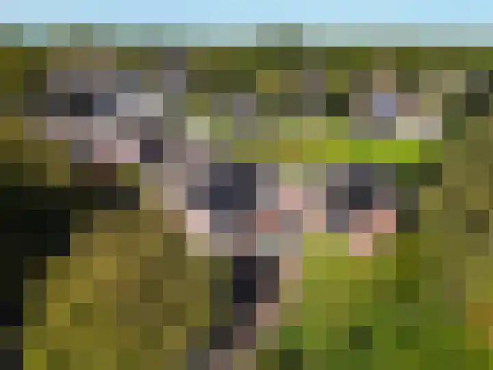 Koetsekralen 22 Harkema thumbnail 57