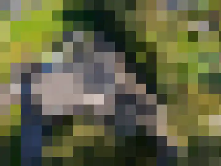 Koetsekralen 22 Harkema thumbnail 61