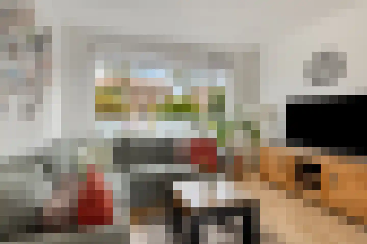 Koetseland 6 Elst thumbnail 12