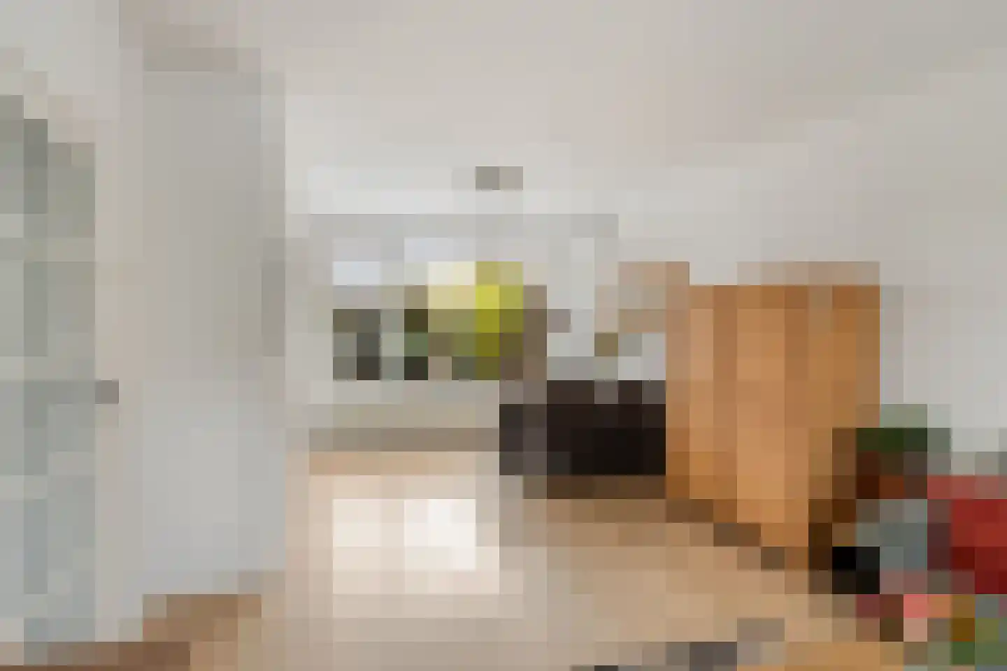 Koetseland 6 Elst thumbnail 16