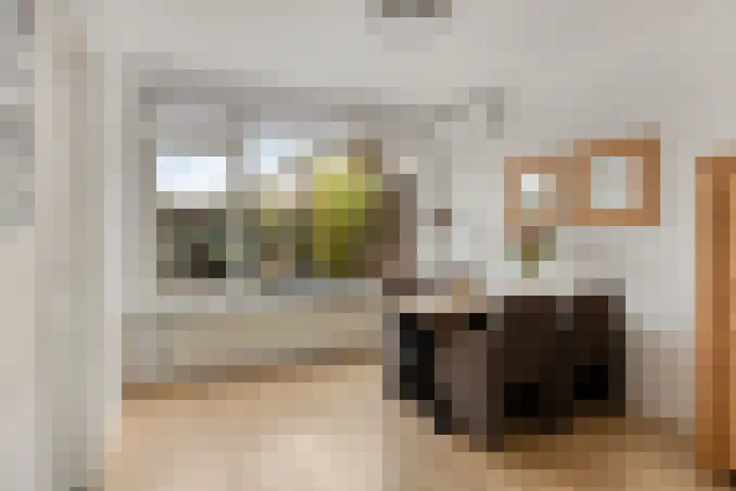 Koetseland 6 Elst thumbnail 17