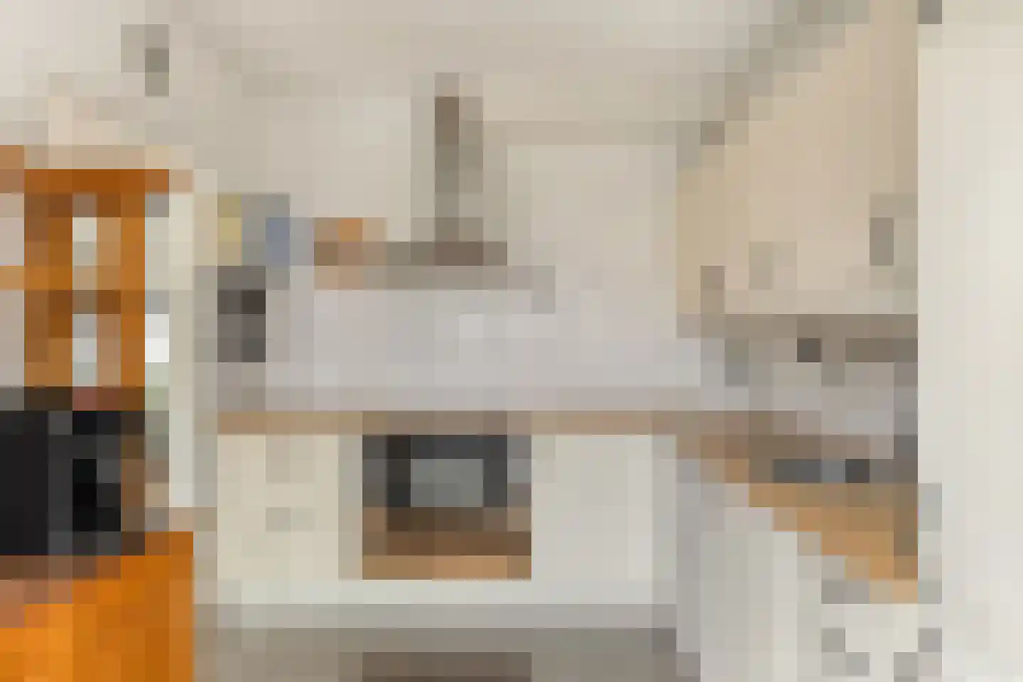 Koetseland 6 Elst thumbnail 23