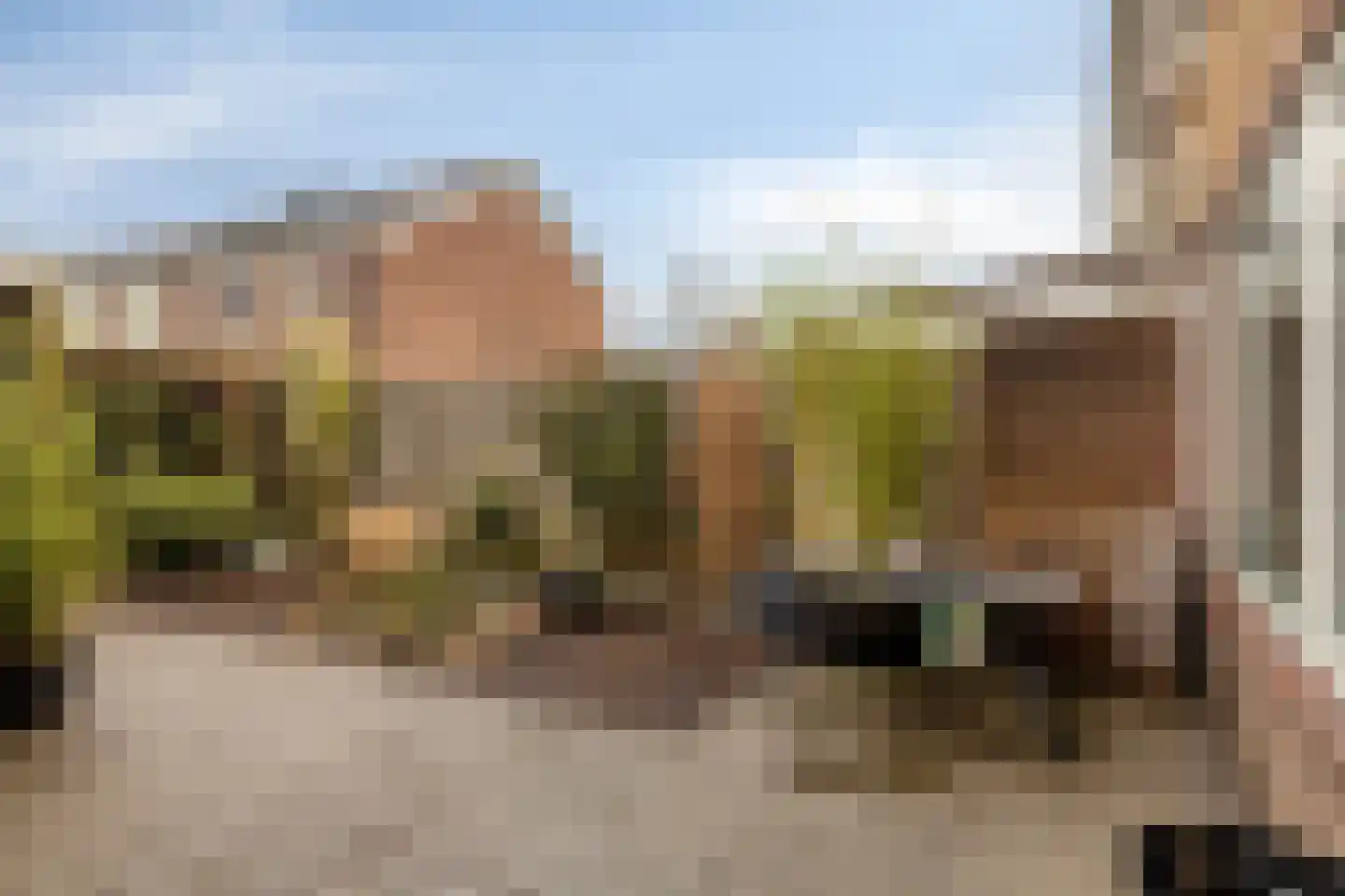 Koetseland 6 Elst thumbnail 24