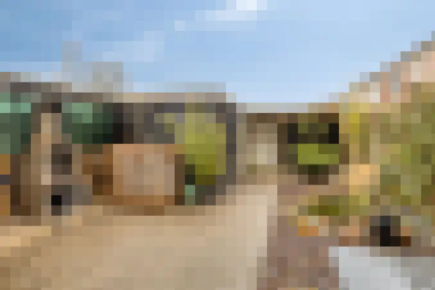 Koetseland 6 Elst thumbnail 25