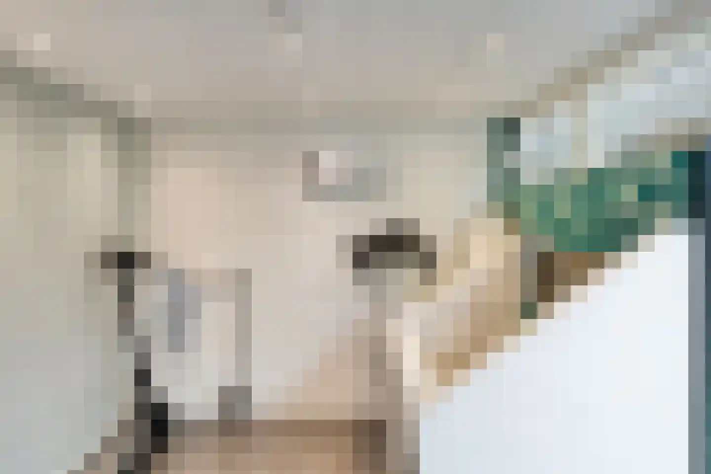 Koetseland 6 Elst thumbnail 28