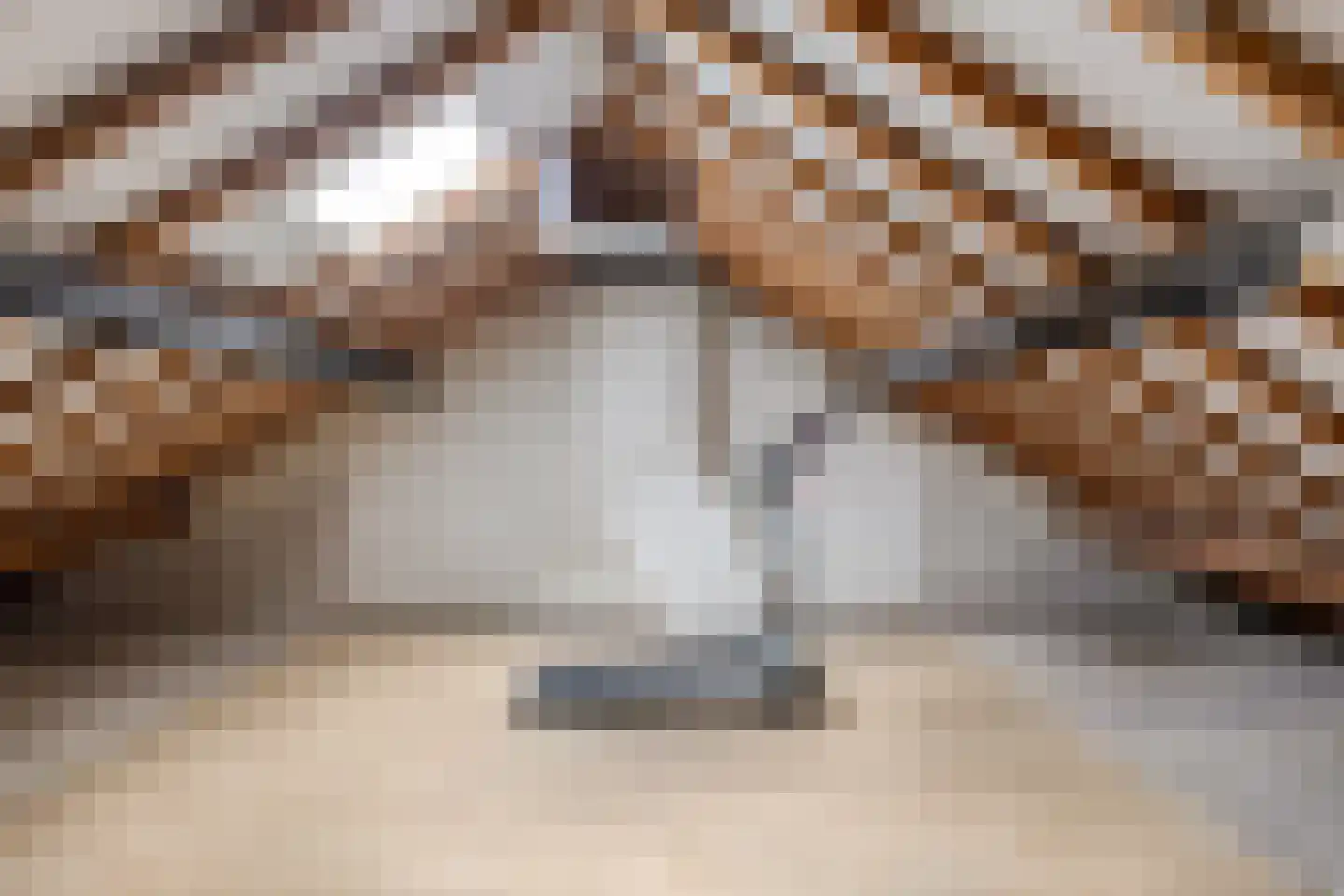 Koetseland 6 Elst thumbnail 45