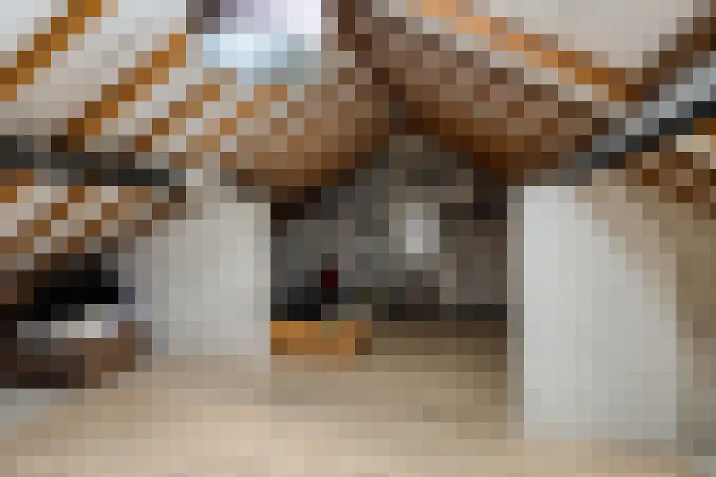 Koetseland 6 Elst thumbnail 46
