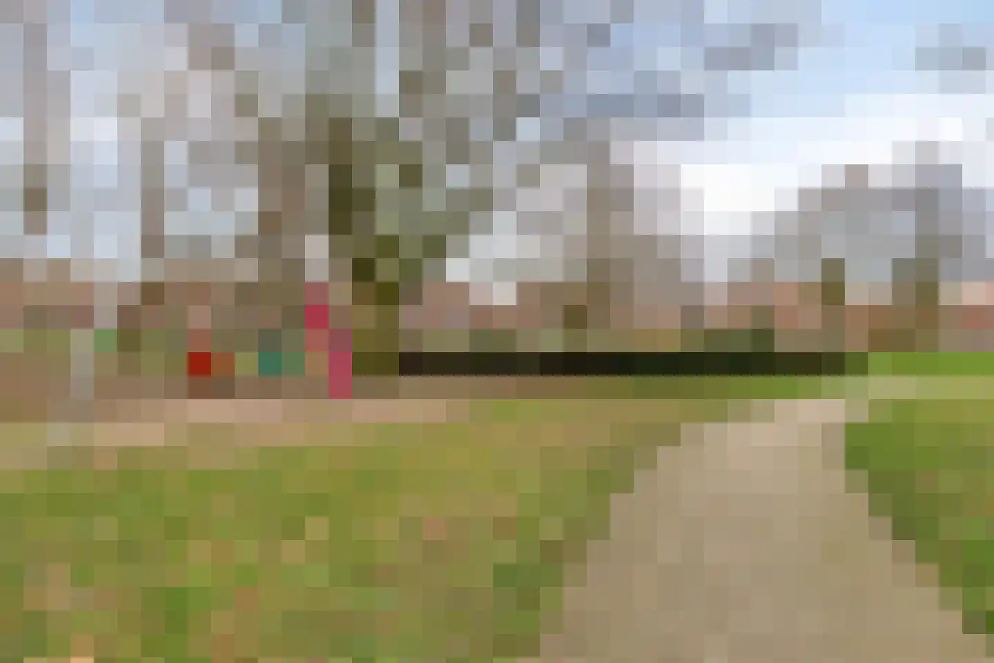 Koetseland 6 Elst thumbnail 49
