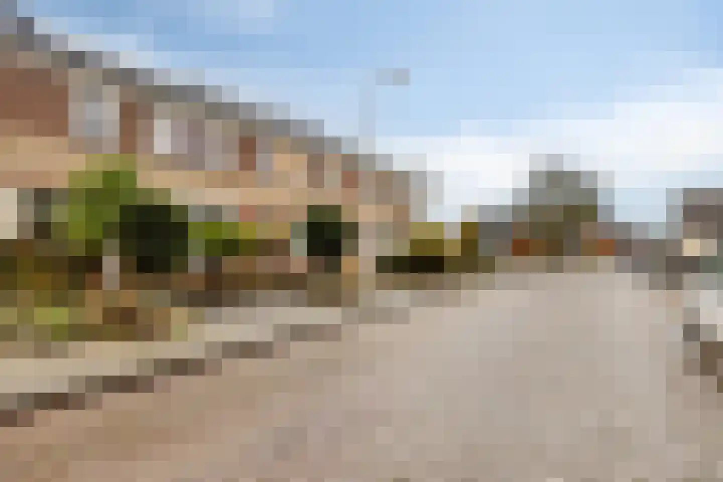 Koetseland 6 Elst thumbnail 5