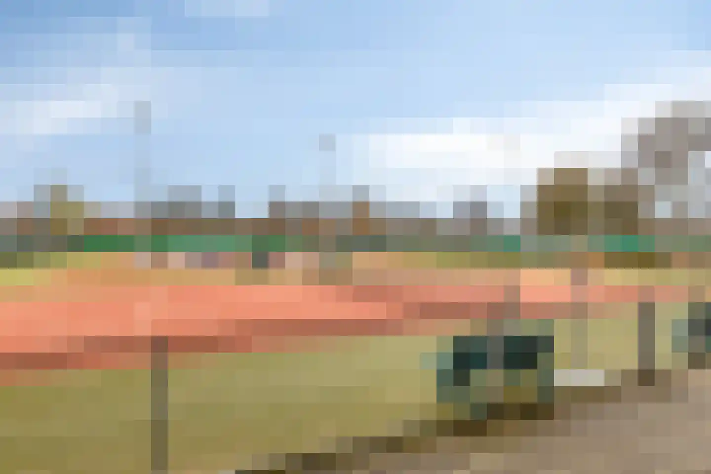 Koetseland 6 Elst thumbnail 50