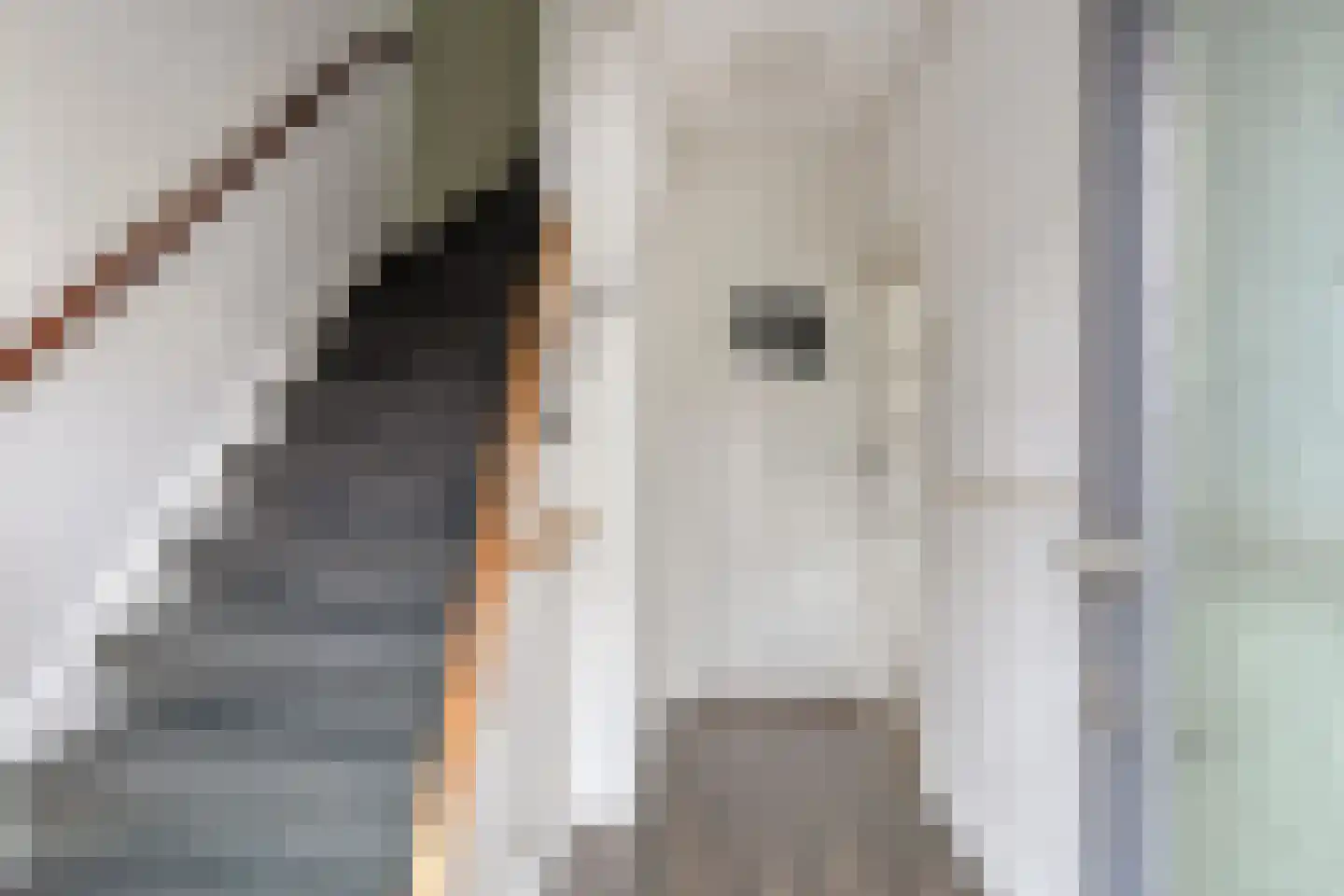 Koetseland 6 Elst thumbnail 7