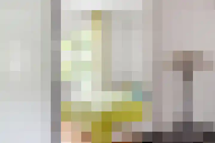 Koetsendijk 17 Nijkerk thumbnail 19