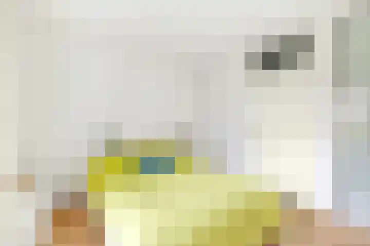 Koetsendijk 17 Nijkerk thumbnail 20