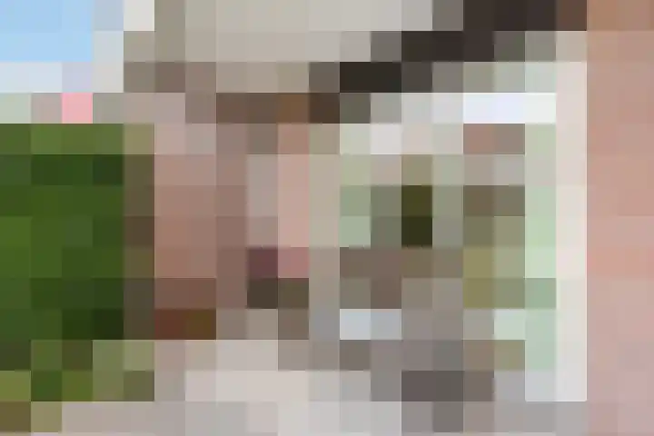 Koetsendijk 17 Nijkerk thumbnail 25