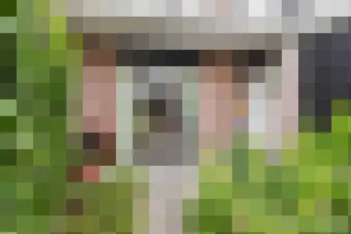 Koetsendijk 17 Nijkerk thumbnail 26