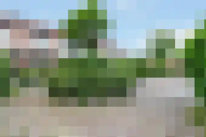 Koetsendijk 17 Nijkerk thumbnail 27