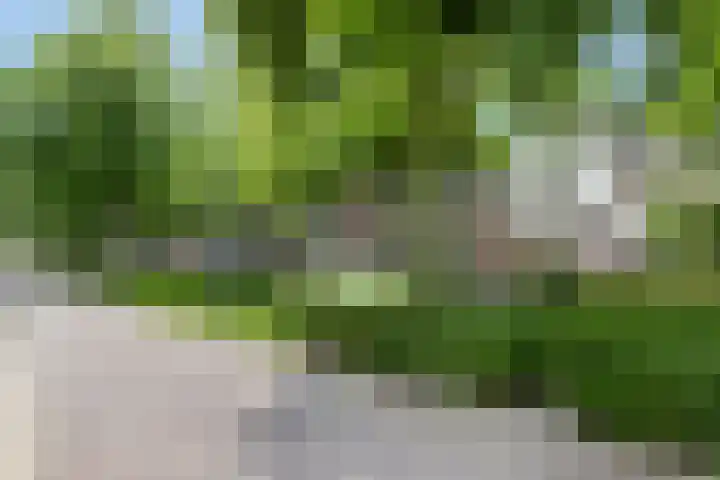 Koetsendijk 17 Nijkerk thumbnail 29