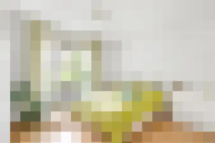 Koetsendijk 17 Nijkerk thumbnail 4