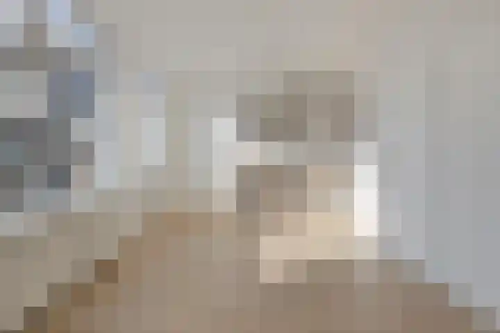 Koetshoek 1 B Breda thumbnail 4