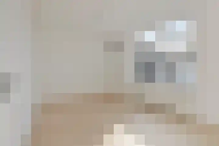 Koetshoek 1 B Breda thumbnail 8