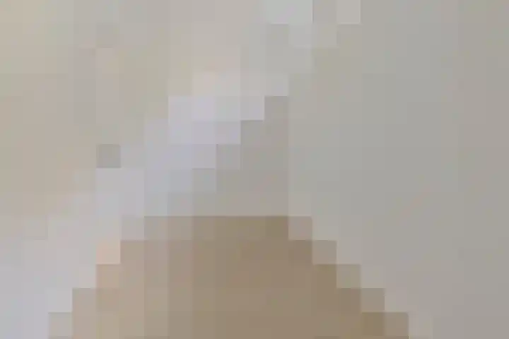 Koetshoek 1 B Breda thumbnail 9