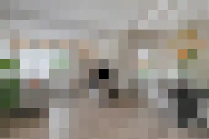 Koetshuis 17 Oud-Beijerland thumbnail 10