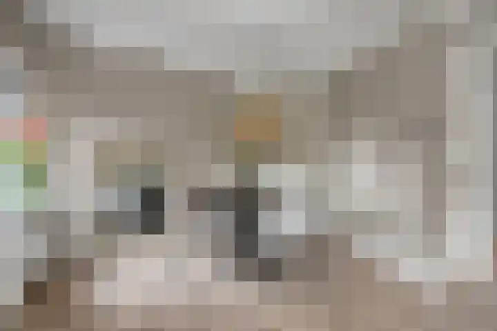 Koetshuis 17 Oud-Beijerland thumbnail 12