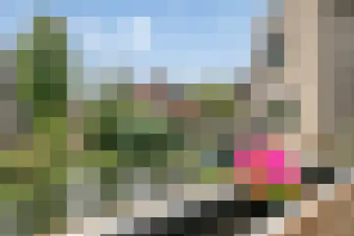 Koetshuis 17 Oud-Beijerland thumbnail 18