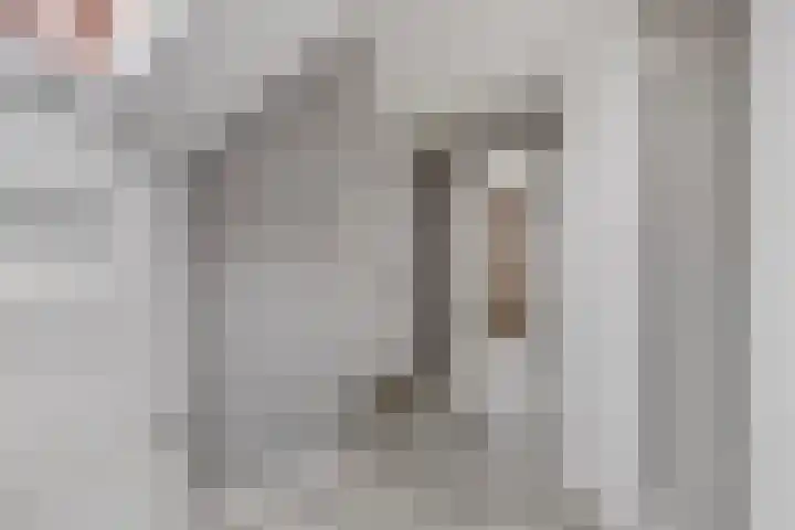 Koetshuis 17 Oud-Beijerland thumbnail 19
