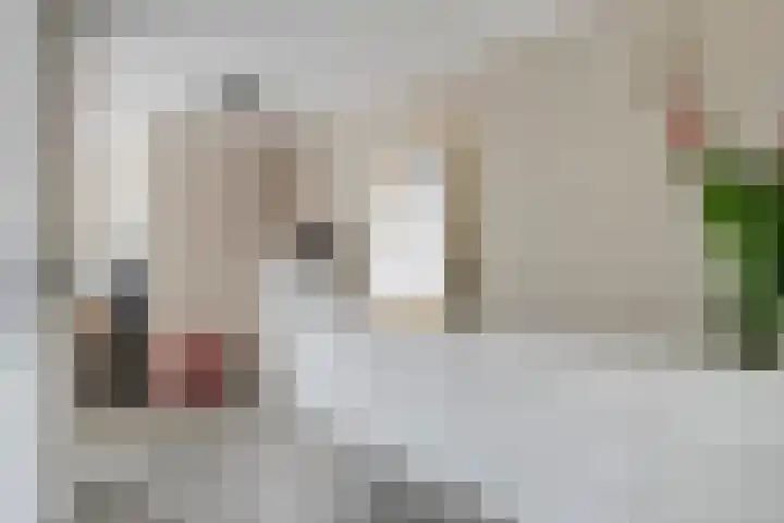 Koetshuis 17 Oud-Beijerland thumbnail 20