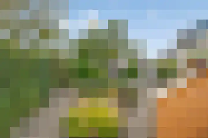 Koetshuis 17 Oud-Beijerland thumbnail 30