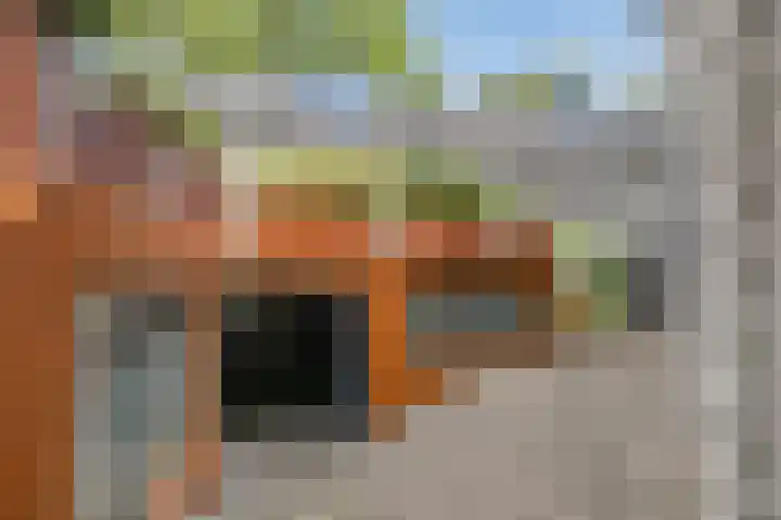 Koetshuis 17 Oud-Beijerland thumbnail 31
