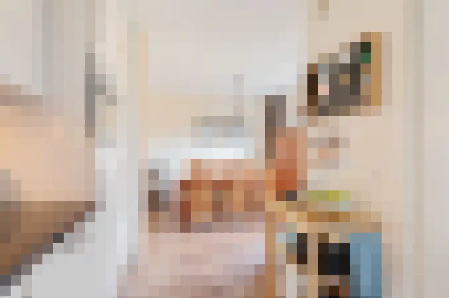 Koetshuis 3 Delfzijl thumbnail 21