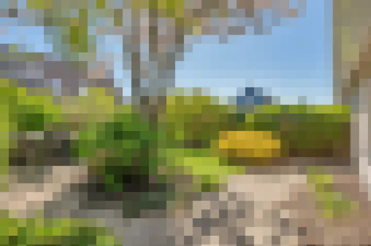 Koetshuis 3 Delfzijl thumbnail 40