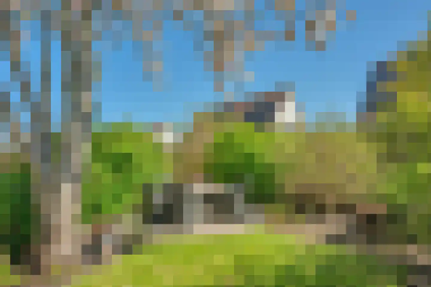 Koetshuis 3 Delfzijl thumbnail 42