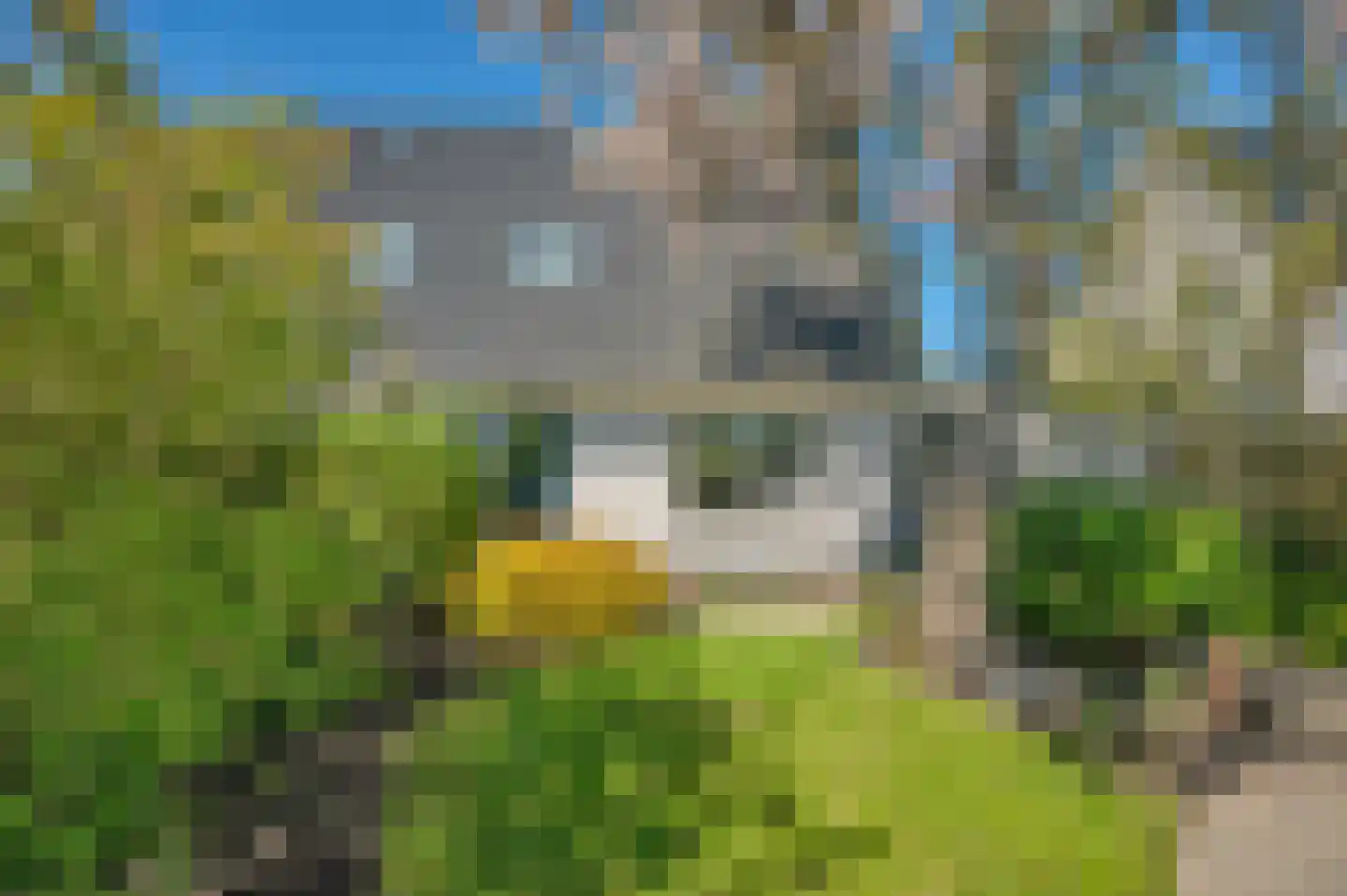 Koetshuis 3 Delfzijl thumbnail 46