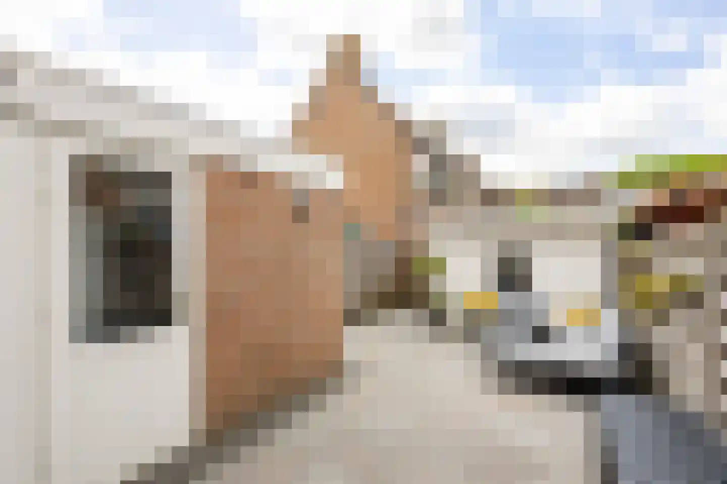 Koetshuis 6 Hardinxveld-Giessendam thumbnail 23