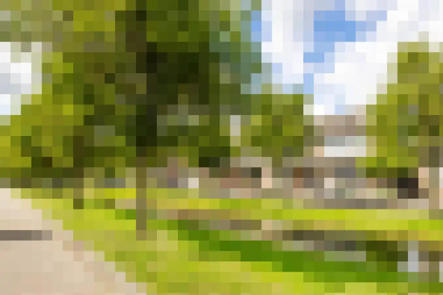 Koetshuis 6 Hardinxveld-Giessendam thumbnail 30