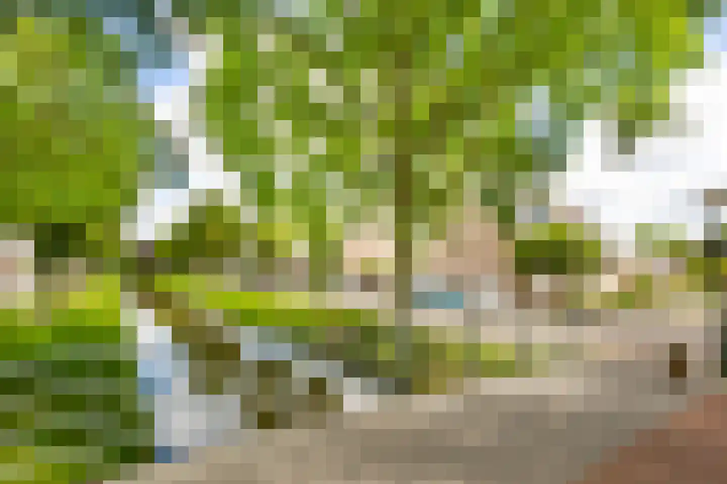 Koetshuis 6 Hardinxveld-Giessendam thumbnail 31