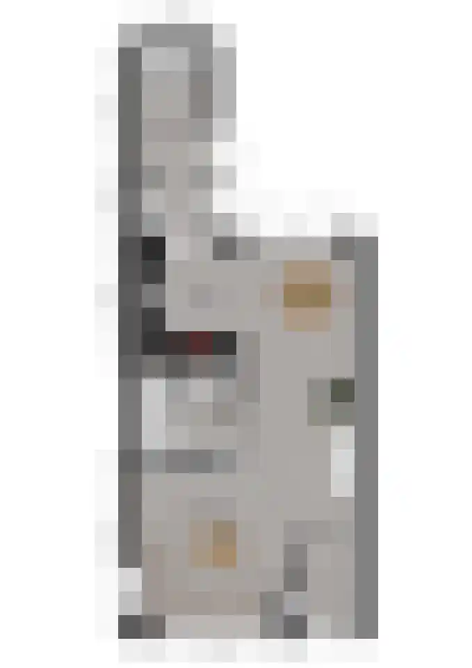 Koetshuis 6 Hardinxveld-Giessendam thumbnail 32
